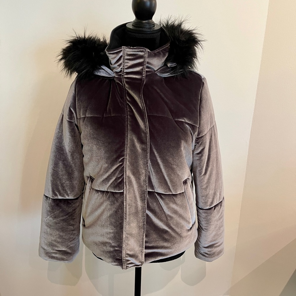 Express Dark Grey Velour Padded Puffer Jacket with Fur Hood Size Medium NWT!